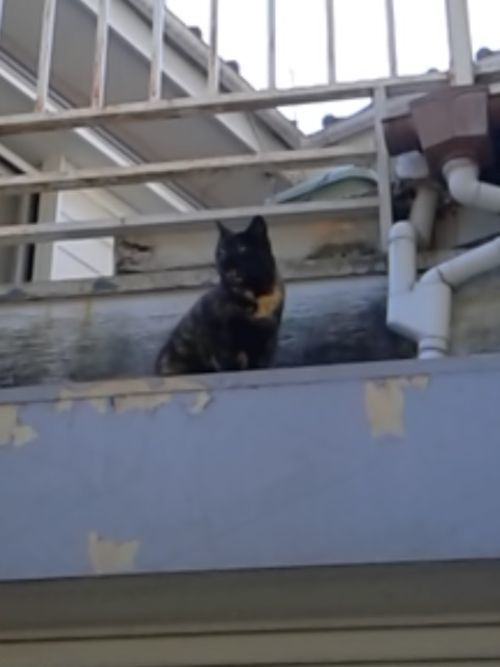 なんか
