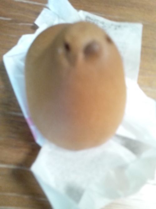 ひよこ
