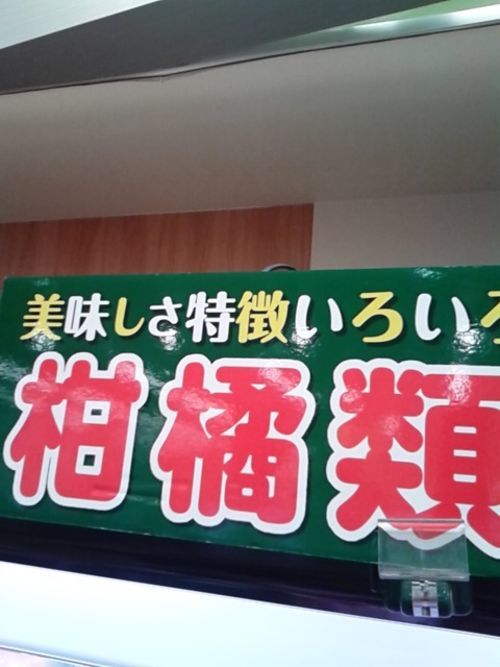 特徴