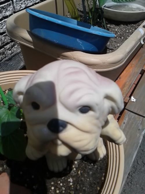 見つめ