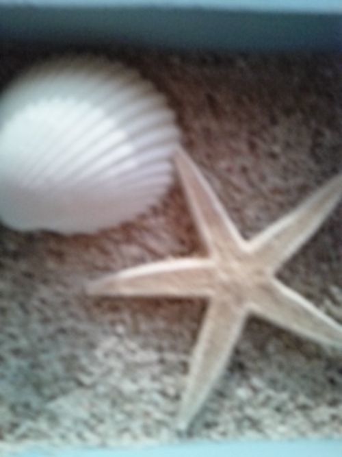 海の