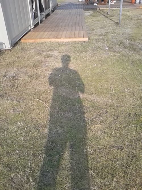 著者