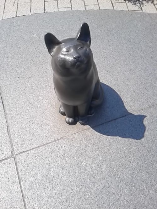 カモン