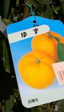 品種名