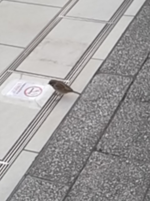 そう