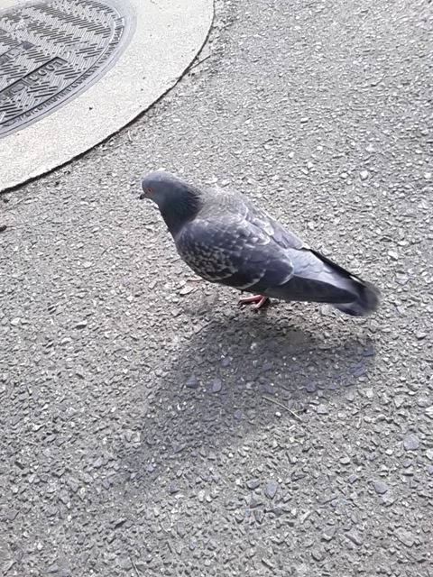 ち、