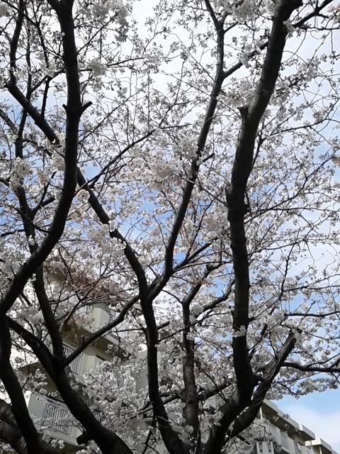 そんな
