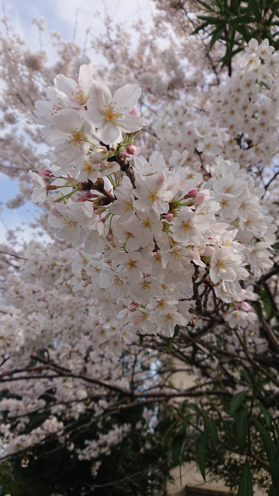 そんな