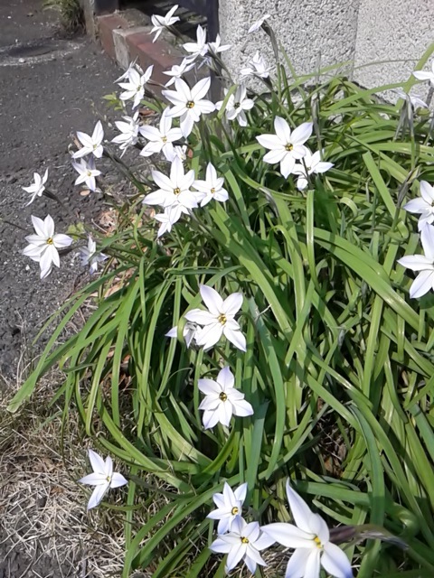 そんな