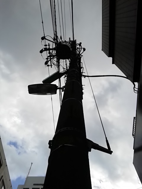 見上げ