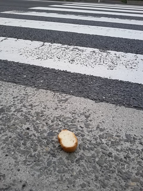 歩道に