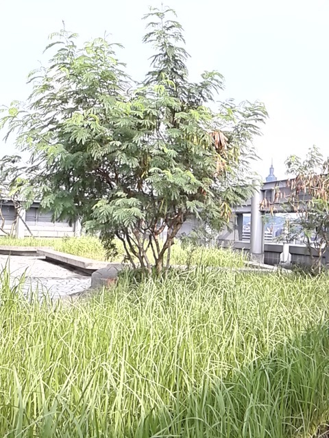 おい