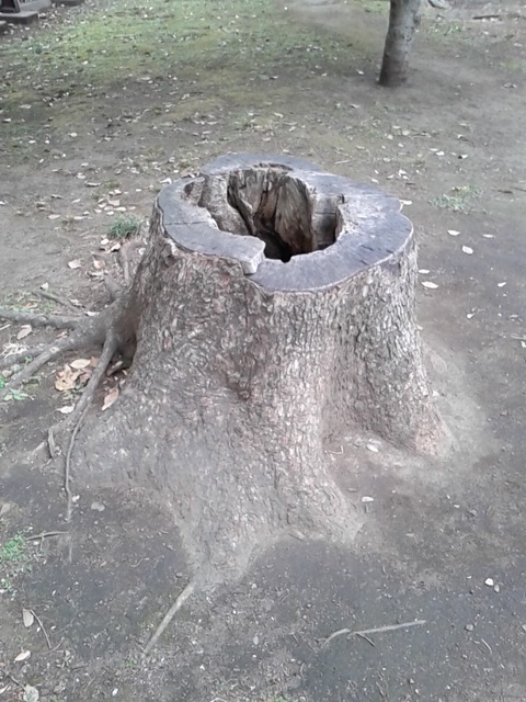 きり