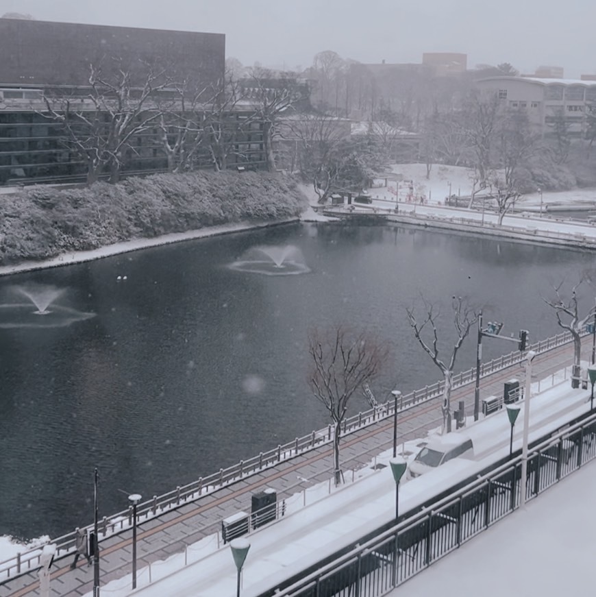 雪雪