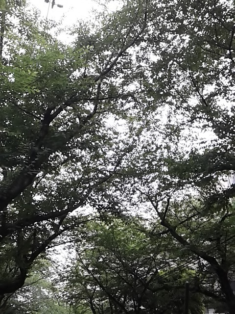 おい