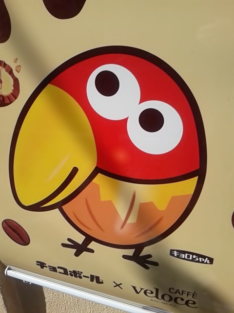黒の