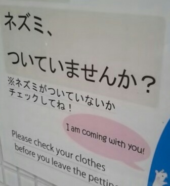 ついて